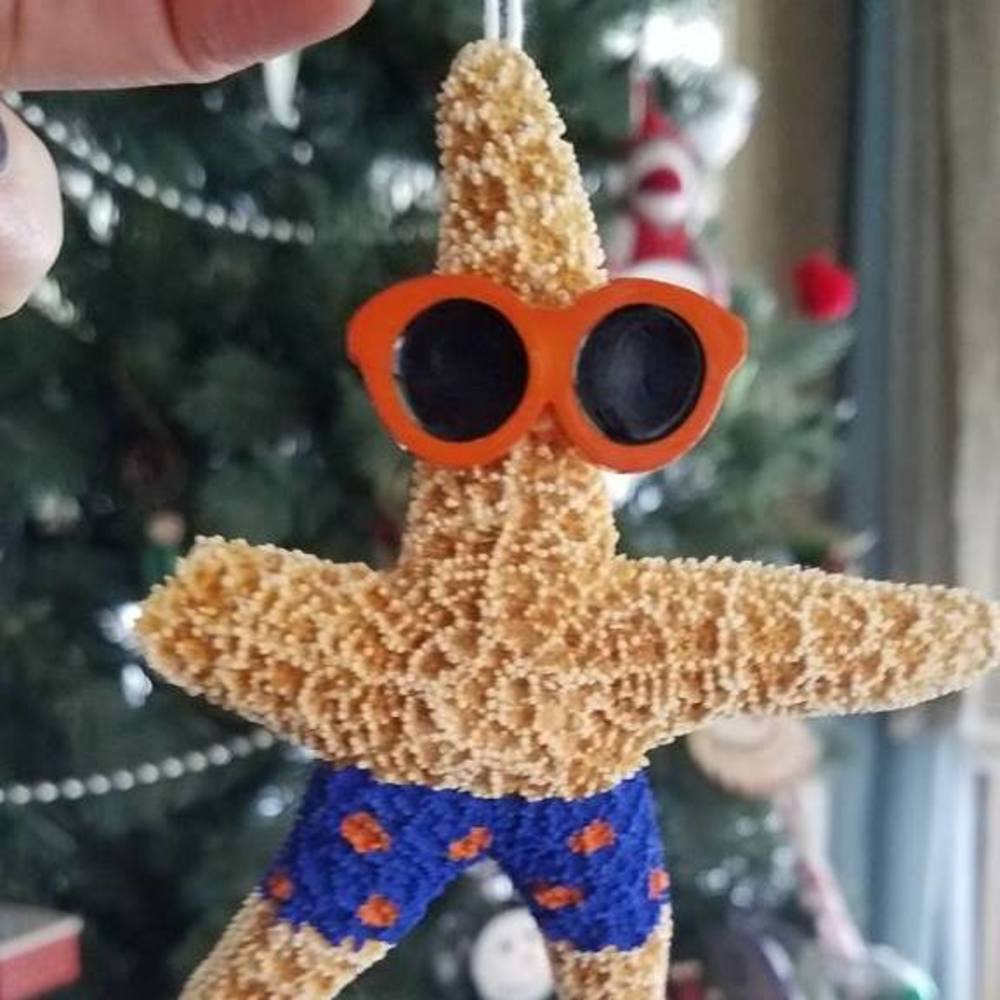 Meet your Posher, Tracey farris